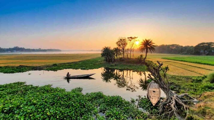 চাঁপাইগাছি বিল (নান্দিয়ার বিল)